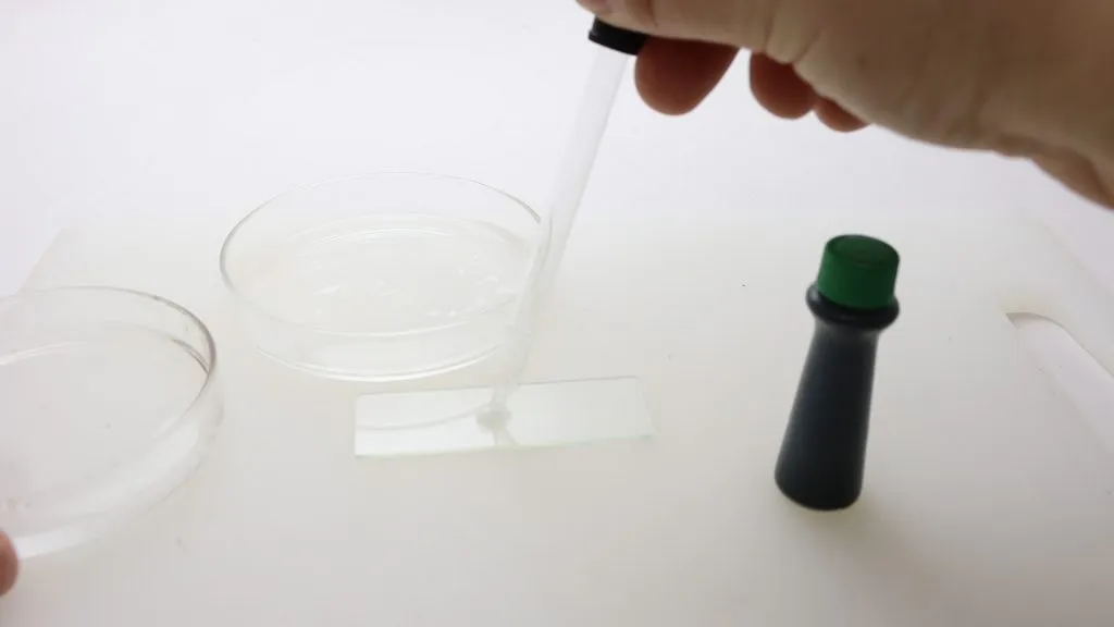 Science with boogers, putting booger on the slide