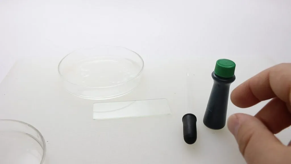Science with boogers setup