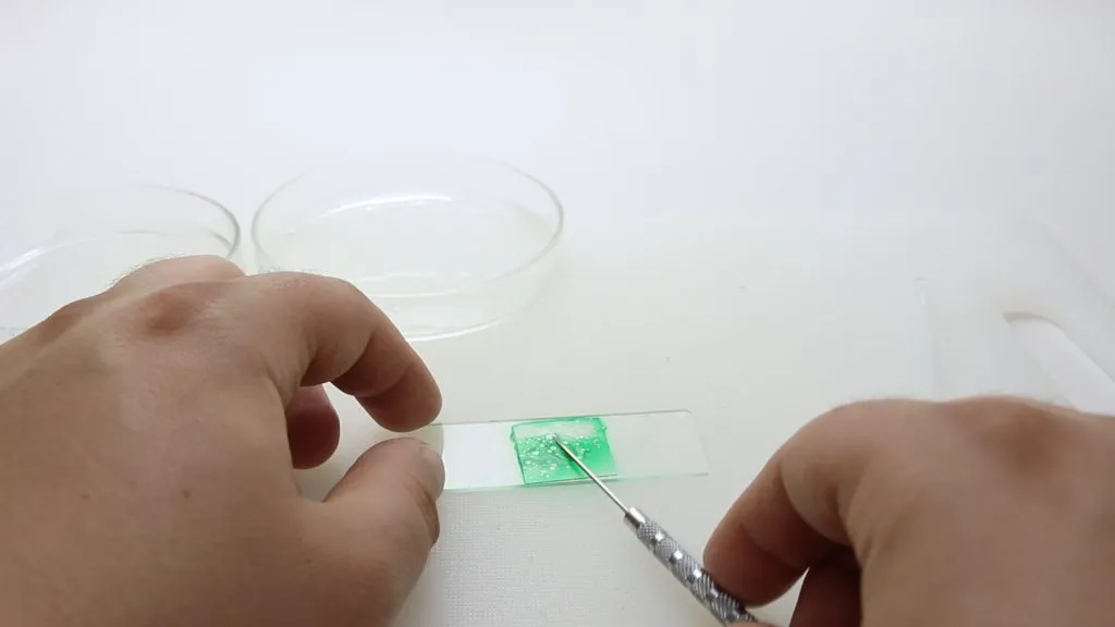 Spreading immersion oil on booger slide