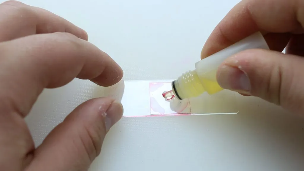 SCIENCE with Immersion Oil Microscopy applying immersion oil to slide