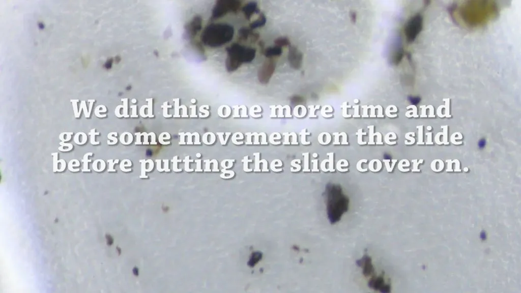 Check for movement before putting on the slide cover